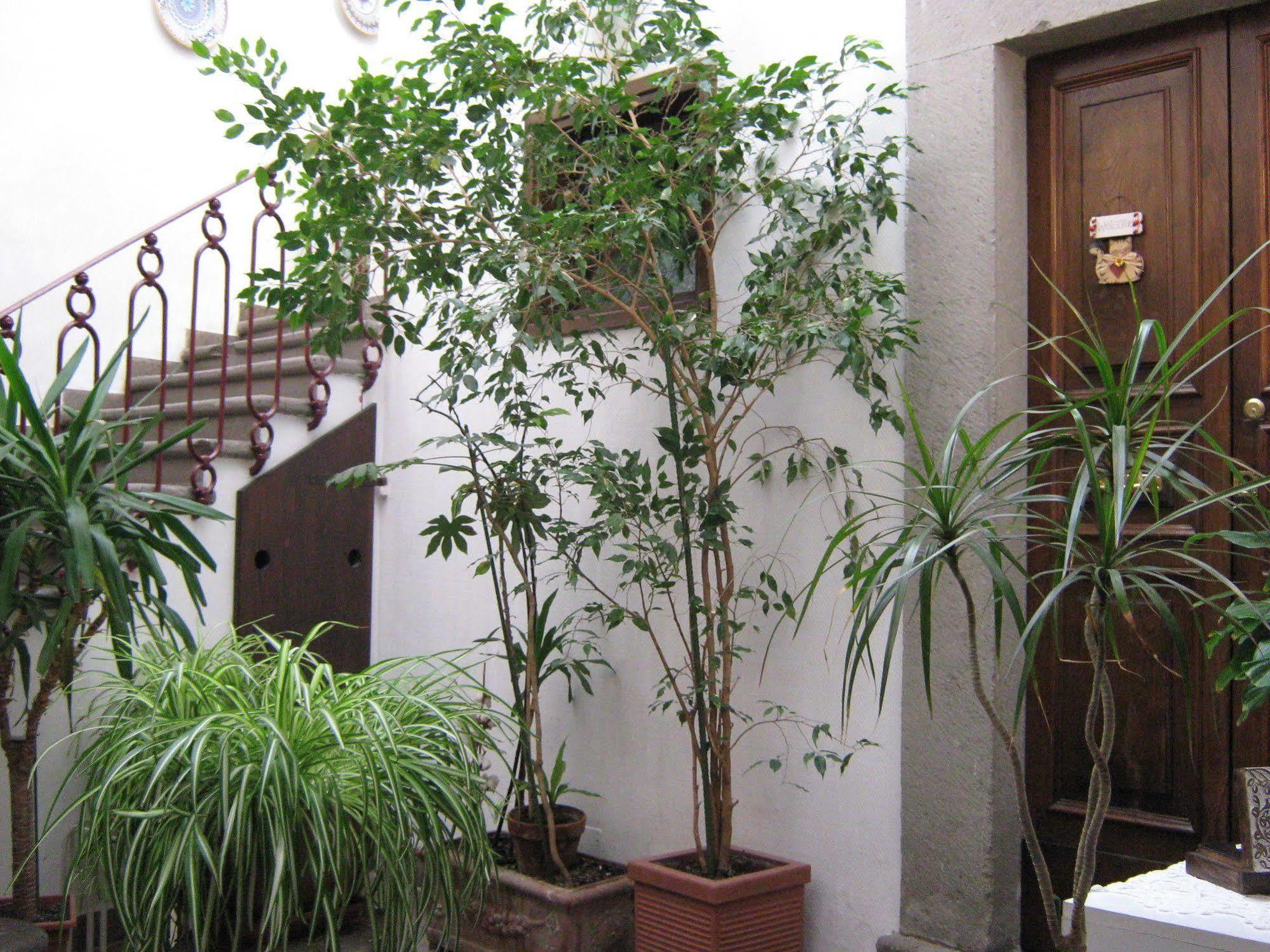 Bed and Breakfast Bb Santa Rosa Viterbo Exteriér fotografie